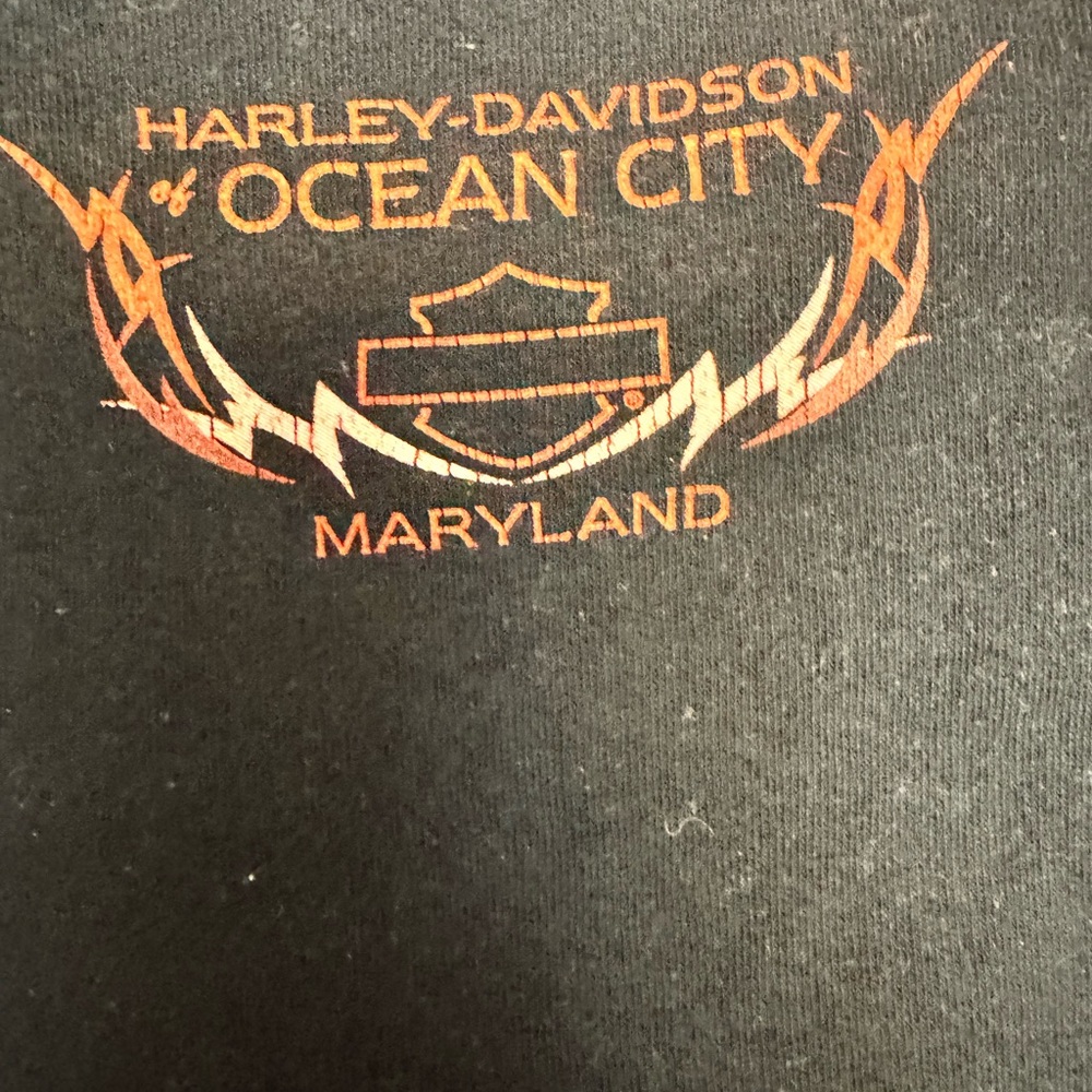 Harley-Davidson Black Tee with Fiery Winged Heart Graphic - Picture 2 of 4